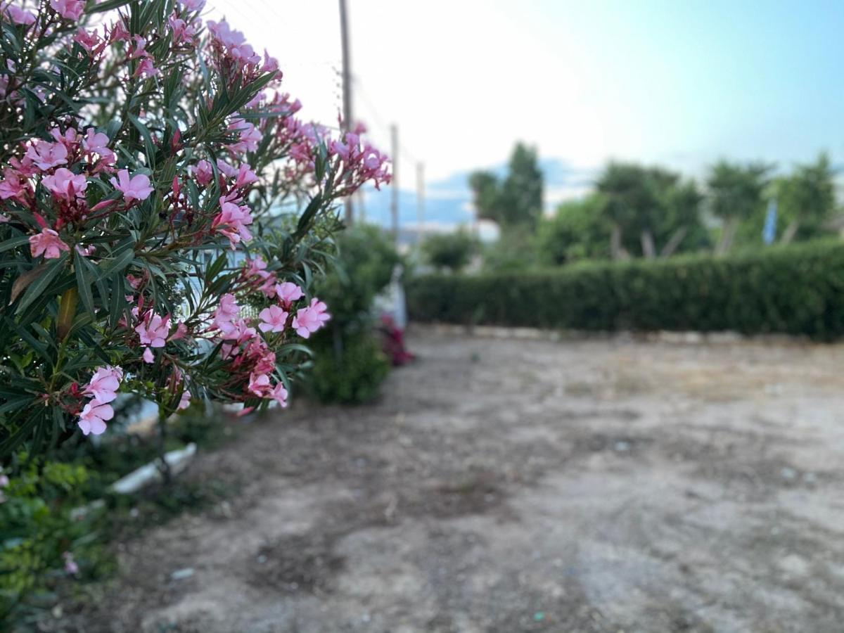 Athens Riviera: 2 Bed / 3' Walk From The Beach Agia Marina  Eksteriør bilde